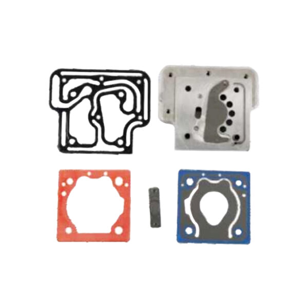 3969104 Valve Plate Kit